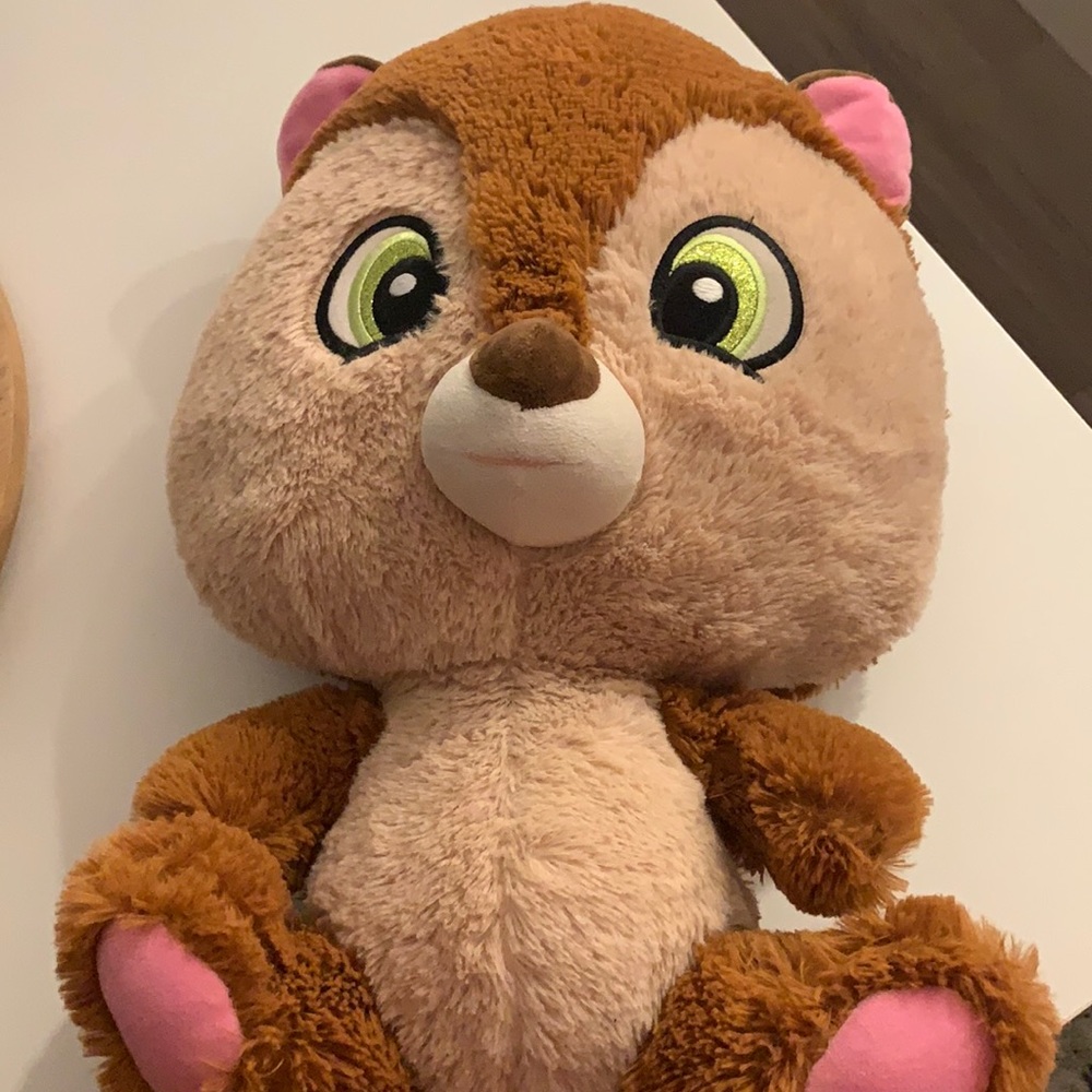Teddy bear